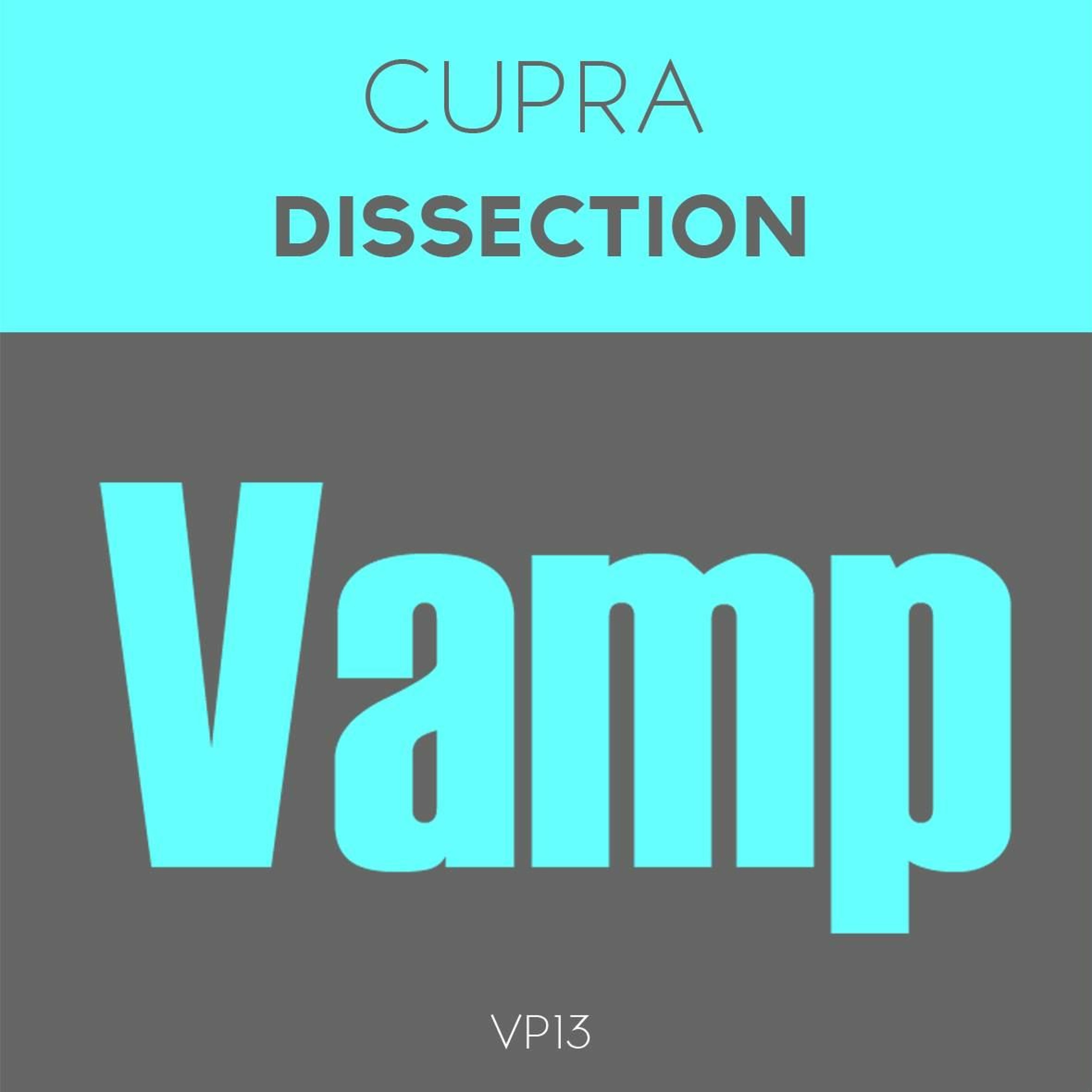 Cupra - Dissection (Vamp) episode artwork
