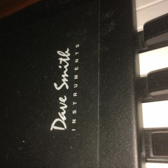 Leads test DSI Pro 2