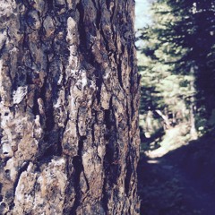 Rainy Day At The Beach