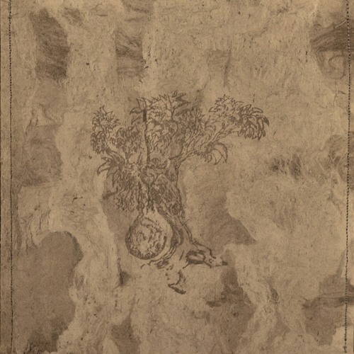 Vieo Abiungo (aka William Ryan Fritch) - And The World Is Still Yawning (Field Rotation Remix)
