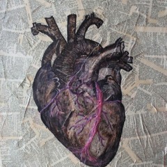 Latch (Acoustic) Cover