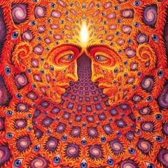 Bassment Wubb Vol. 2