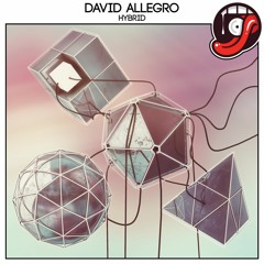 David Allegro - Hybrid