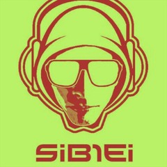 Hardwell ft w&w vs Martin garrix ft tv noise - Dont stop the madness (sib1ei mashup).ogg