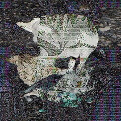 Death Grips (Complete Collection)