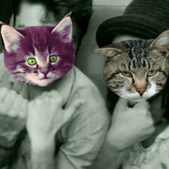 Mr. Spaceman ft. Aersones (The Byrds) Campus do Pici live sessions