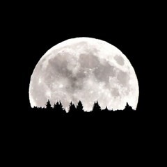 Вадим Тур - Саундтрек "Ночной оборотень"(Vadim Tur soundtrack)