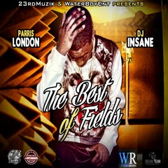 01.Fields - Fly Away