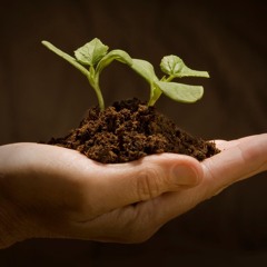 All Creation (Instrumental) #WORSHIP