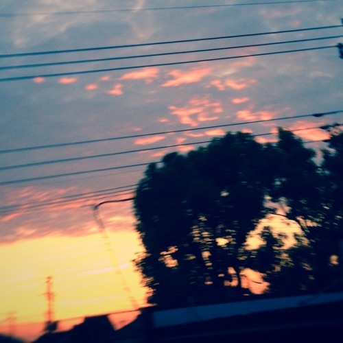 Bye Bye Summer