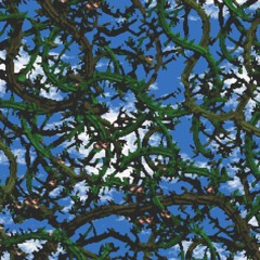 Stickerbrush Symphony Remix