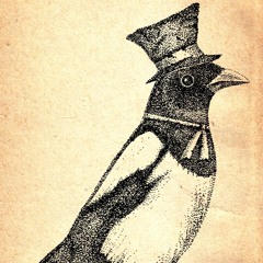 Chasing Tails And Silver