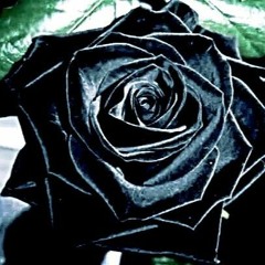 Black Roses