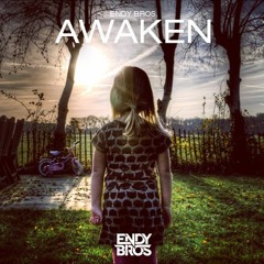 Endy Bros. - Awaken (Original Mix)*Supported by EDMtunes [5K FOLLOWER GIFT]
