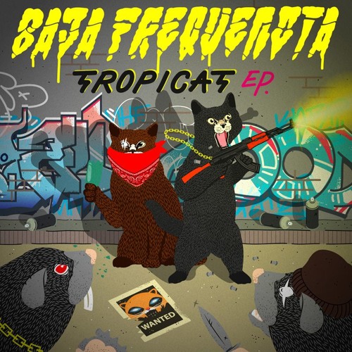 Baja Frequencia - Ni