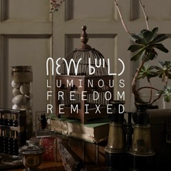 New Build - Luminous Freedom (Tim Green Remix)