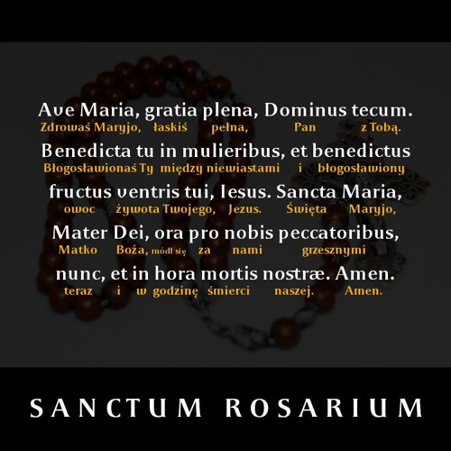 Stream Ave Maria by Kto nie umiał po łacinie | Listen online for free on  SoundCloud