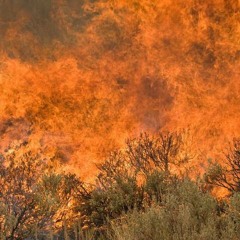 SciDev.Net Podcast: Online wildfire fighters and more