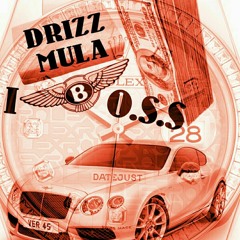 I.B.O.S.S.(I Be On Some Shit)