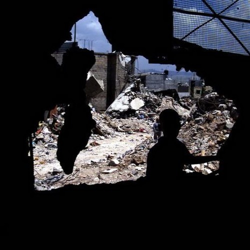 عشق الشقايق يا رفايق