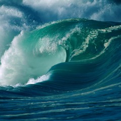 Wavvey Bril X Shvrk_ Rise Of The Wavve (Prod. Raisi K)