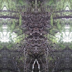 Pure Organic | DJ Set for Psithurism