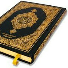 تلاوة رائعه من سورة يونس بصوت القارئ محمد مصطفي الفقي