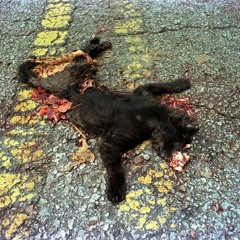 Dead pussy eater