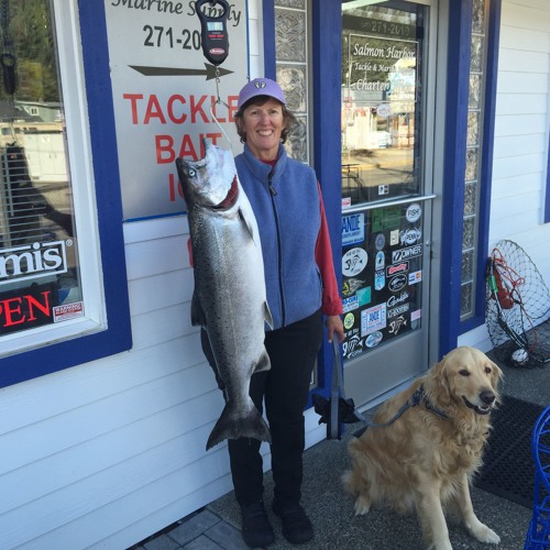 Stream Fishing Report – 9/30/15 Winchester Bay, Oregon – by Salmon Harbor  Tackle by Fishing Oregon