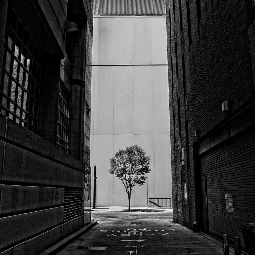 Bühnekind - State Of Mine