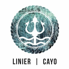 Linier - Another Love ft. CAYO