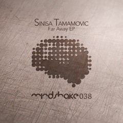 Sinisa Tamamovic - Seba - Mindshake Records