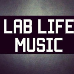 LAB LIFE THE INTRODUCTION