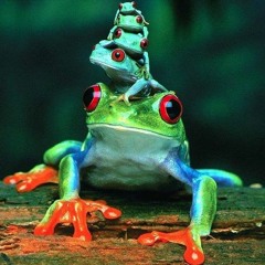Psychedelic Midtempo Collection - Halfred & Friends
