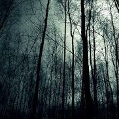 Forest Reverberation Dj set Open Air Party 11-07-2015 Turin, Italy