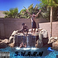 S.W.A.R.N // BS