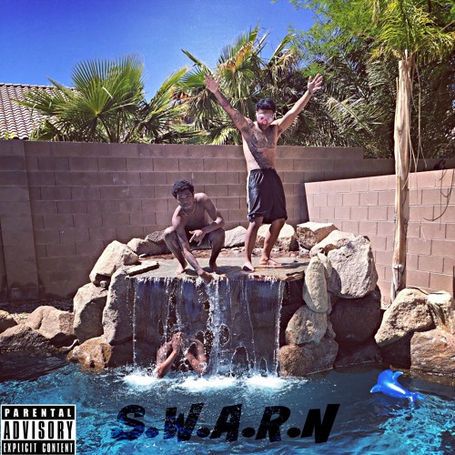 S.W.A.R.N // BS