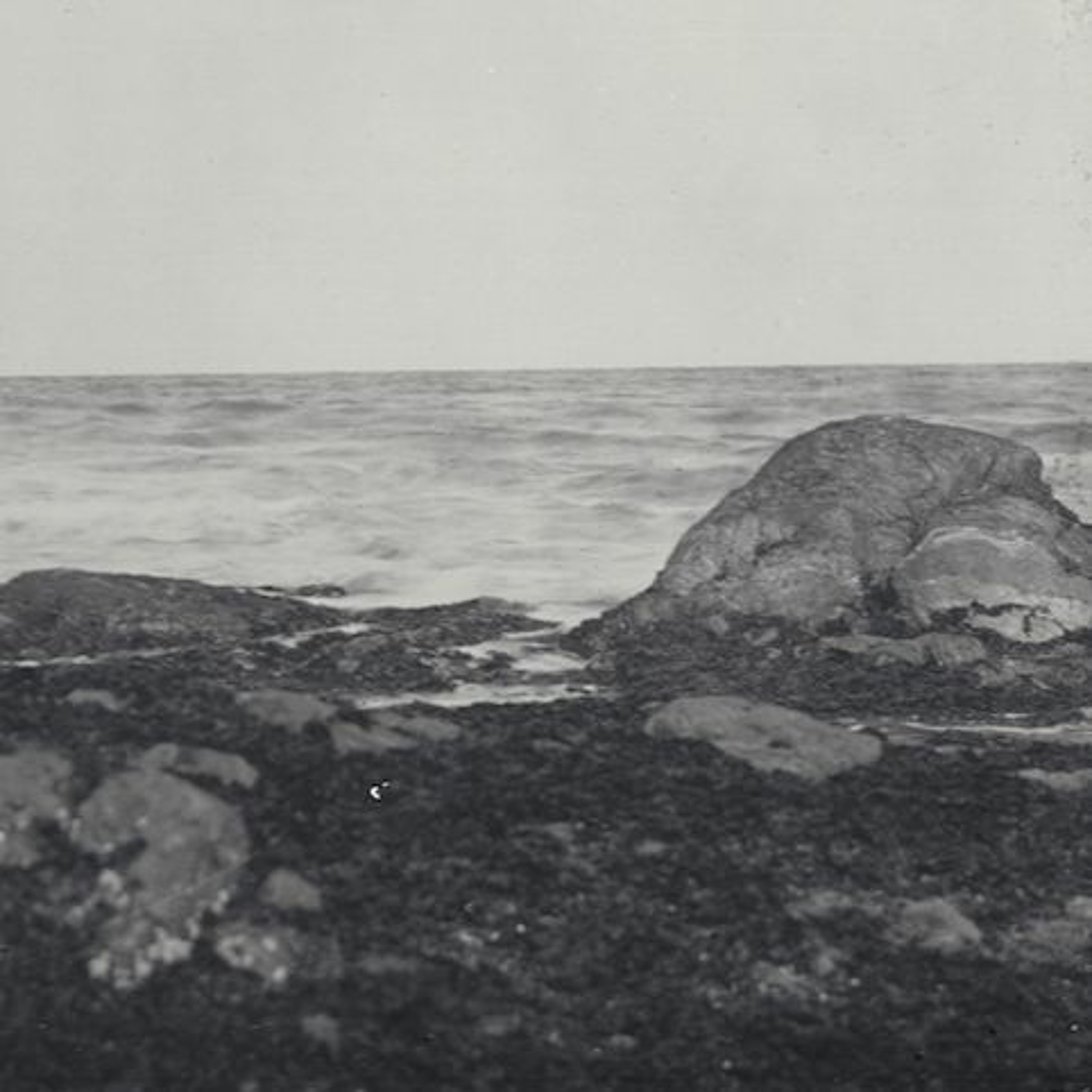 Guillaume Campion