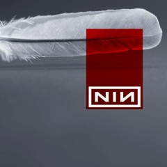 Nine Inch Nails - The Day The World Went Away