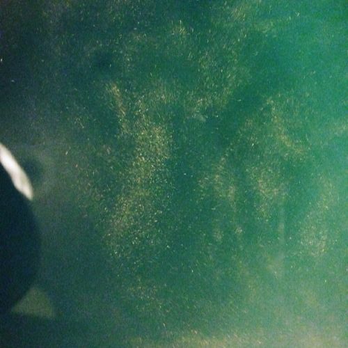 Chinatown - Girlpool