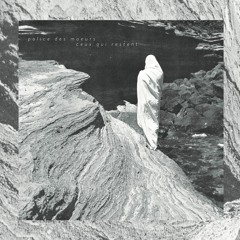 MNQ 071 Police Des Moeurs - Ceux Qui Restent LP (mix)