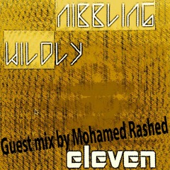Nibbling Wildly Eleven Guest Mix: Mohamed Rashed