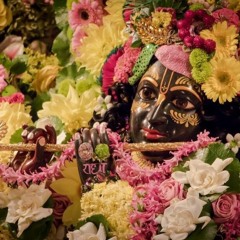 Ananta Govinda - Radhastami 2015 at Radha Govinda