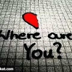 موال احبج سيف عامر