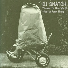 DJ Snatch - Never In This World
