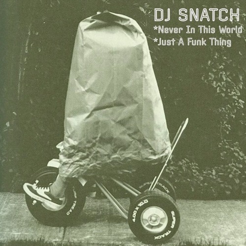 DJ Snatch - Just A Funk Thing