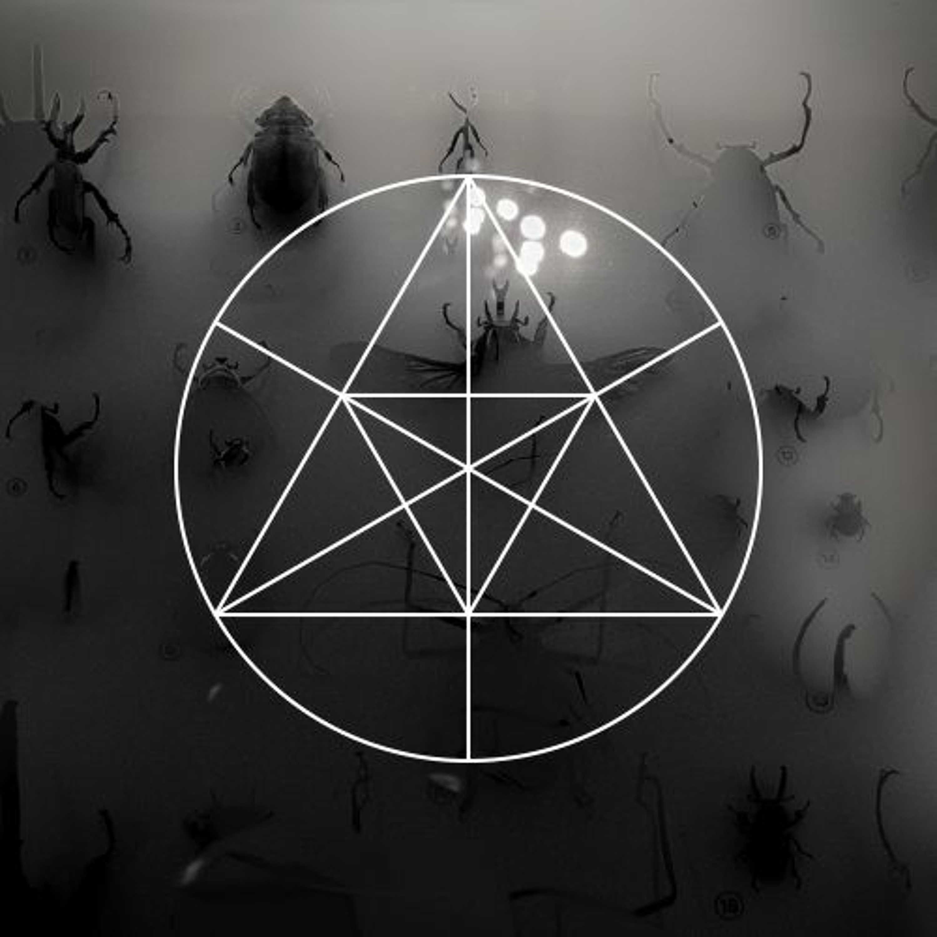 Mysteries of the Deep Podcast