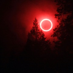 DARK LIGHT (APPROACHING) 'VERSION'