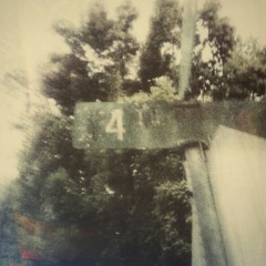 Sleep Well, Carrion Dreams