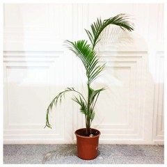 Autumn mixtape for unknwn